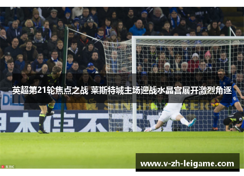 英超第21轮焦点之战 莱斯特城主场迎战水晶宫展开激烈角逐